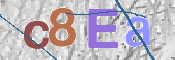 CAPTCHA 驗證圖片