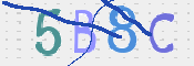 CAPTCHA 驗證圖片
