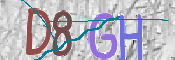 CAPTCHA 驗證圖片