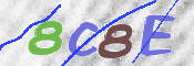 CAPTCHA 驗證圖片
