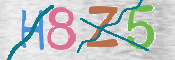 CAPTCHA 驗證圖片