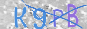 CAPTCHA 驗證圖片