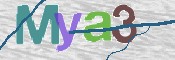 CAPTCHA 驗證圖片