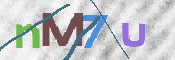 CAPTCHA 驗證圖片