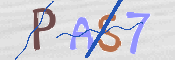 CAPTCHA 驗證圖片