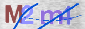 CAPTCHA 驗證圖片