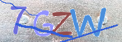 CAPTCHA 驗證圖片
