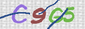 CAPTCHA 驗證圖片
