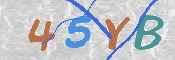 CAPTCHA 驗證圖片