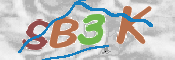 CAPTCHA 驗證圖片
