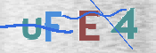 CAPTCHA 驗證圖片