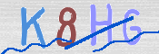 CAPTCHA 驗證圖片