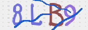 CAPTCHA 驗證圖片