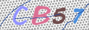 CAPTCHA 驗證圖片