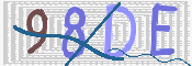 CAPTCHA 驗證圖片