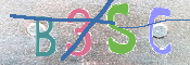 CAPTCHA 驗證圖片