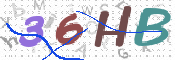 CAPTCHA 驗證圖片