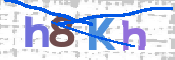 CAPTCHA 驗證圖片