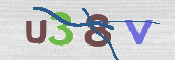 CAPTCHA 驗證圖片