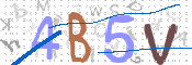 CAPTCHA 驗證圖片