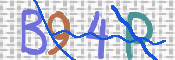CAPTCHA 驗證圖片