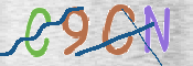 CAPTCHA 驗證圖片