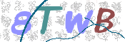 CAPTCHA 驗證圖片