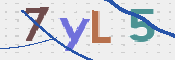 CAPTCHA 驗證圖片