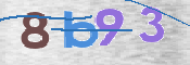 CAPTCHA 驗證圖片