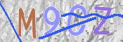 CAPTCHA 驗證圖片