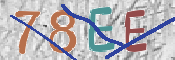 CAPTCHA 驗證圖片