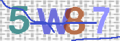 CAPTCHA 驗證圖片
