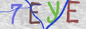 CAPTCHA 驗證圖片