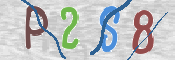 CAPTCHA 驗證圖片