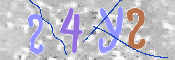 CAPTCHA 驗證圖片