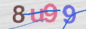 CAPTCHA 驗證圖片