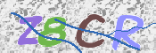 CAPTCHA 驗證圖片
