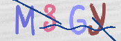 CAPTCHA 驗證圖片