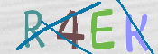 CAPTCHA 驗證圖片