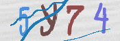 CAPTCHA 驗證圖片