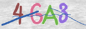 CAPTCHA 驗證圖片