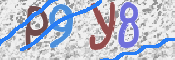 CAPTCHA 驗證圖片