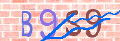 CAPTCHA 驗證圖片