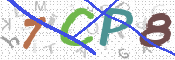 CAPTCHA 驗證圖片