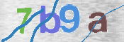 CAPTCHA 驗證圖片