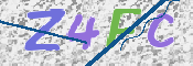 CAPTCHA 驗證圖片