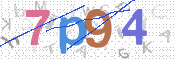 CAPTCHA 驗證圖片
