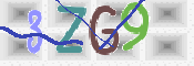 CAPTCHA 驗證圖片