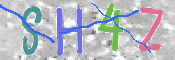 CAPTCHA 驗證圖片