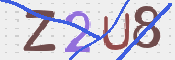 CAPTCHA 驗證圖片